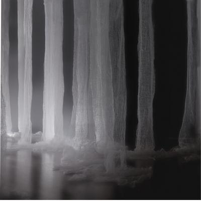 Video Arte - Memoria del Bosque, Instalación Textil, MIFA MIAMI, EEUU